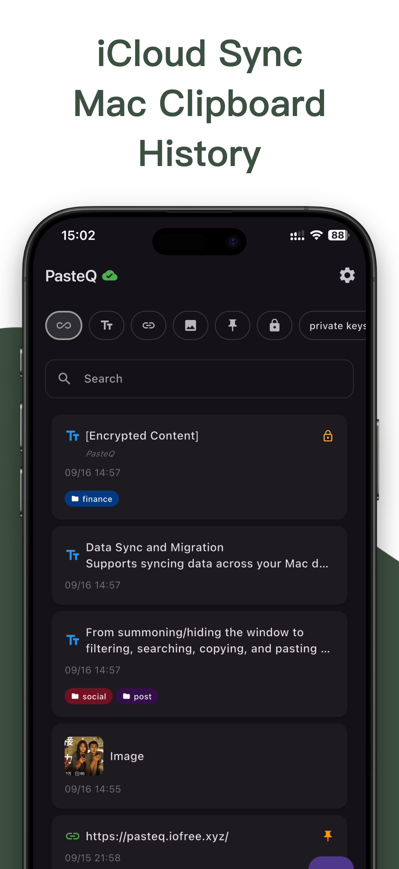 PasteQ iOS Screenshot
